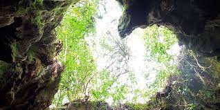  The view from inside the Wilson Stump